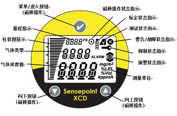 XCD-Xzyx